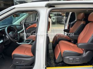 Xe Kia Carnival Signature 2.2D 2022