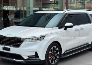 Xe Kia Carnival Signature 2.2D 2022