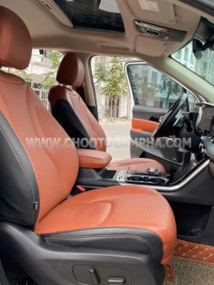 Xe Kia Carnival Signature 2.2D 2022