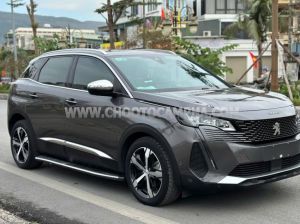 Xe Peugeot 3008 AL 2022