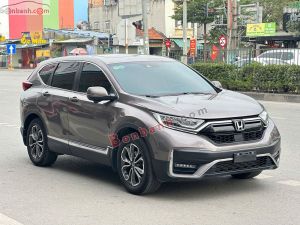 Xe Honda CRV L 2022