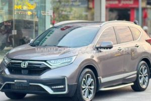 Xe Honda CRV L 2022