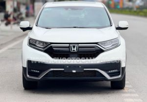 Xe Honda CRV L 2023