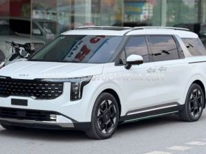 Xe Kia Carnival Signature 2.2D 2024