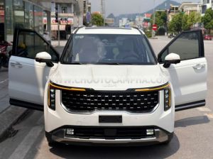 Xe Kia Carnival Signature 2.2D 2024
